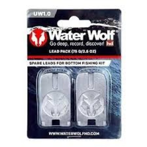 Water Wolf UW Bottom Fishing Kit Spare Weights 100g ( 2st.)