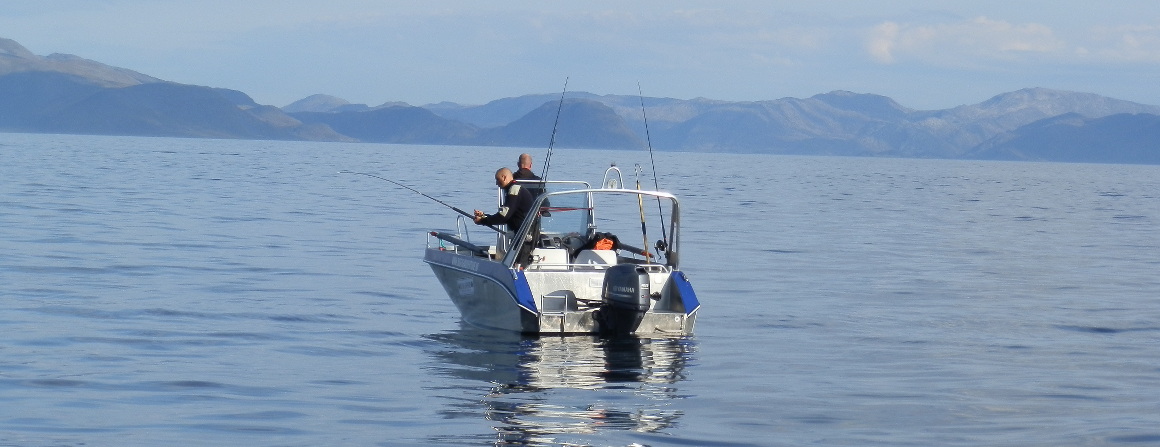 - De specialist in vismateriaal voor fjord- en zeevissen